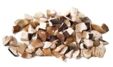 FUNGHI PORCINI CONGELATI 'TROZOS' 1KG*6 ROOTSTIC